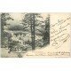 carte postale ancienne 38 GRANDE CHARTREUSE. Vaches Pâturages 1902