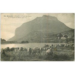 carte postale ancienne 38 GRENOBLE. Troupeau de Moutons et Casque Néron 1915