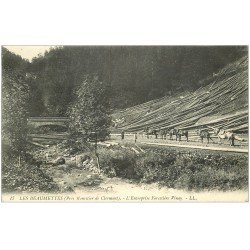 carte postale ancienne 38 LES BEAUMETTES. Entreprise Forestière Vinay 1913