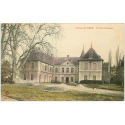 carte postale ancienne 38 PASSIN. Cour du Château 1907