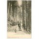 carte postale ancienne 38 Près URIAGE. La Forêt de Prémol vers 1900
