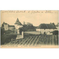 carte postale ancienne 38 VIGNIEU. Château Chapeau-Cornu