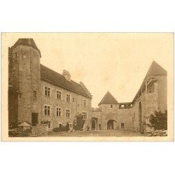 carte postale ancienne 39 CHATEAU DU PIN