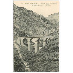 carte postale ancienne 06 Route de Daluis à Guillaumes. Pont de Berthet