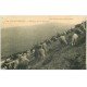 carte postale ancienne 39 LE JURA. Moutons dans la Montagne 1916