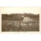 carte postale ancienne 39 LE JURA. Vaches dans les Pâturages