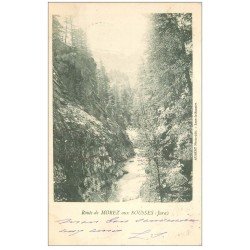carte postale ancienne 39 MOREZ. Route aux Rousses 1901