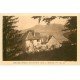 carte postale ancienne 39 SALINS-LES-BAINS. Ermitage Saint-Roch à Bondenet