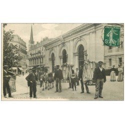 carte postale ancienne 73 AIX-LES-BAINS. Chaises à Porteurs 1909 et Anes