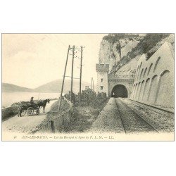 carte postale ancienne 73 AIX-LES-BAINS. Fiacre et ligne P.L.M Lac du Bourget