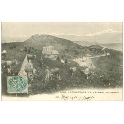 carte postale ancienne 73 AIX-LES-BAINS. Plateau du Revard Pâtres et Vaches 1903