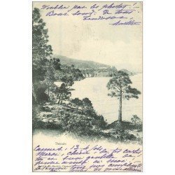 carte postale ancienne 06 THEOUL 1904 vue sur la Pinède