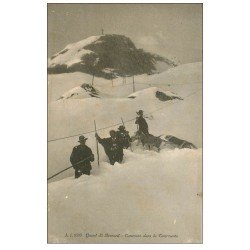 carte postale ancienne 73 GRAND SAINT-BERNARD. Caravane Hommes et Chiens dans la Tourmente