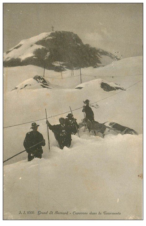 carte postale ancienne 73 GRAND SAINT-BERNARD. Caravane Hommes et Chiens dans la Tourmente