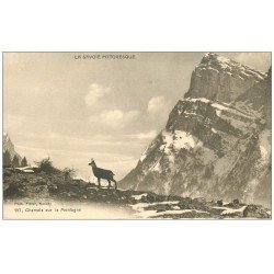 carte postale ancienne 73 LE CHATELARD. Chamois sur la Montagne 1912