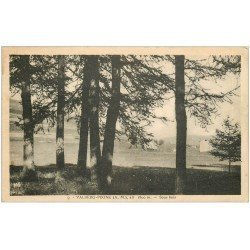 carte postale ancienne 06 VALBERG PEONE. Sous Bois 1933