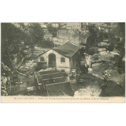 carte postale ancienne 01 Bellegarde. Usine des Forces motrices Rhône et Valserine