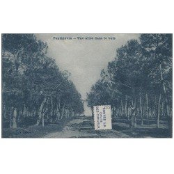 56 PENTHIEVRE. Une Allée dans le Bois. Carte bleutée et petit collage