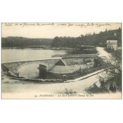 56 PLOERMEL. Les deux Ponts et Etang au Duc