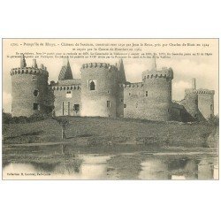 carte postale ancienne 56 PRESQU'ILE DE RHUYS. Château de Suscinio