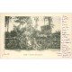 carte postale ancienne 40 DAX. Geysers des Baignots 1903