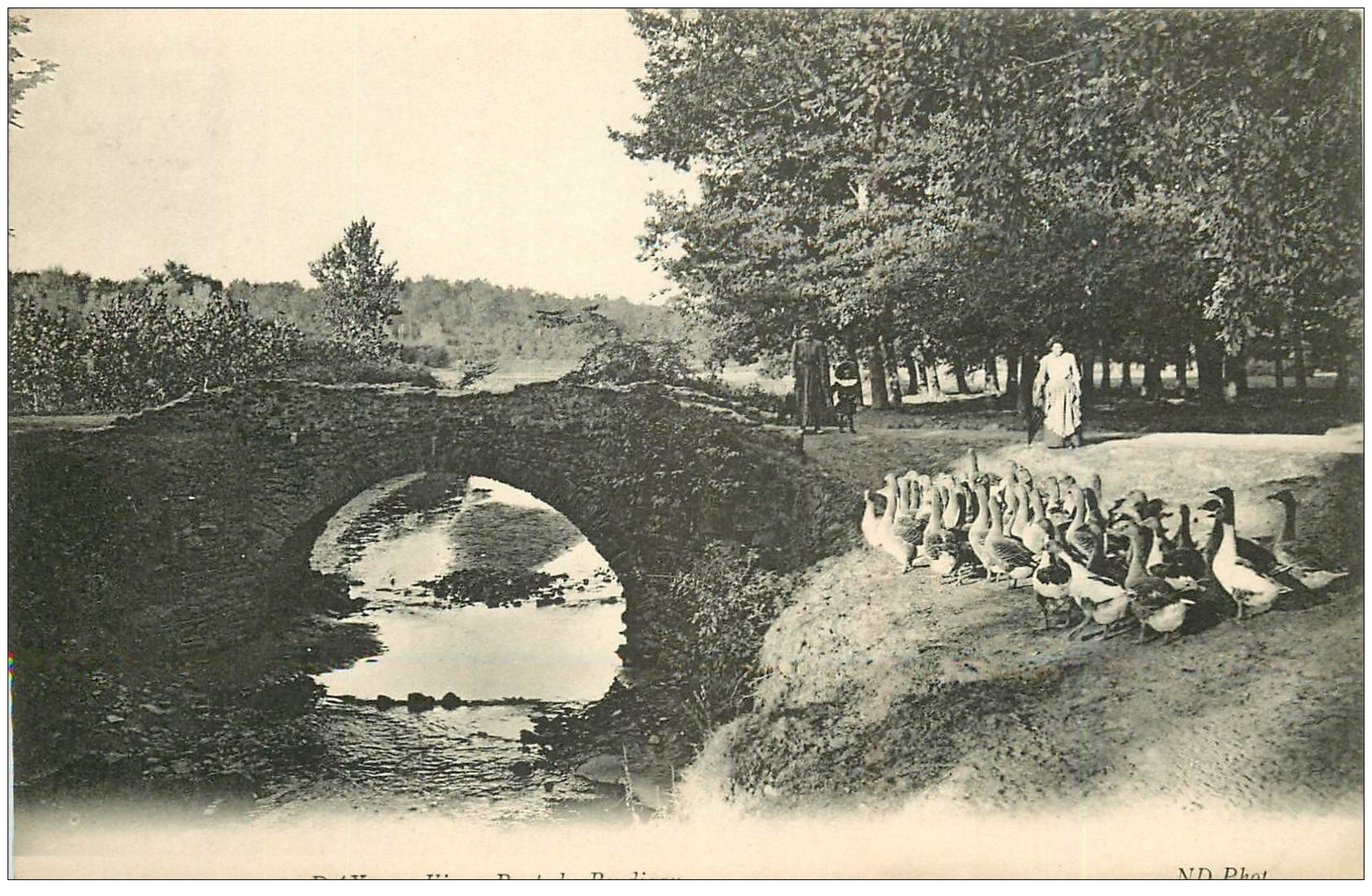 carte postale ancienne 40 DAX. Vieux Pont et Gardeuse d'Oies