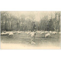 carte postale ancienne 40 LANDES. Berger Landais sur échasses gardant son troupeau de Moutons 1908. Vieux métiers Campagne