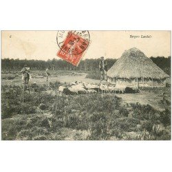 carte postale ancienne 40 LANDES. Bergers Landais sur échasses et Moutons 1908. Vieux métiers Campagne