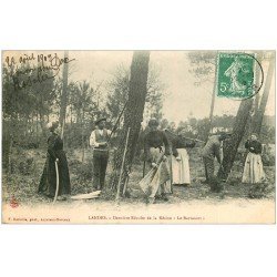 carte postale ancienne 40 LANDES. Dernière Récolte de la Résine 1909. Vieux métiers Campagne