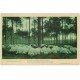 carte postale ancienne 40 LEON. un Troupeau de Moutons en Forêt
