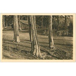 carte postale ancienne 40 LES LANDES. Arbres les Suppliciés