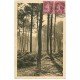 carte postale ancienne 40 LES LANDES. Matin d'Automne en Forêt 1932