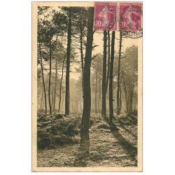 carte postale ancienne 40 LES LANDES. Matin d'Automne en Forêt 1932