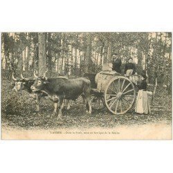 carte postale ancienne 40 LES LANDES. Mise en Barrique de la Résine dans la Forêt. Vieux Métiers vers 1900