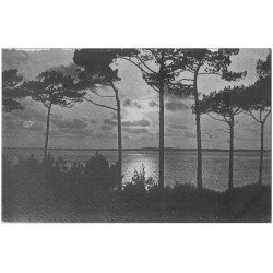 carte postale ancienne 40 LES LANDES. Soleil couchant sur Etang