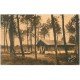 carte postale ancienne 40 LES LANDES. Une Bergerie