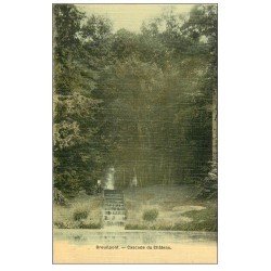 carte postale ancienne 27 BREUILPONT. Cascade du Château 1914 carte toilée animation