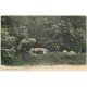 carte postale ancienne 27 CHATEAU DE PINSON. Table Gauloise au Parc animation