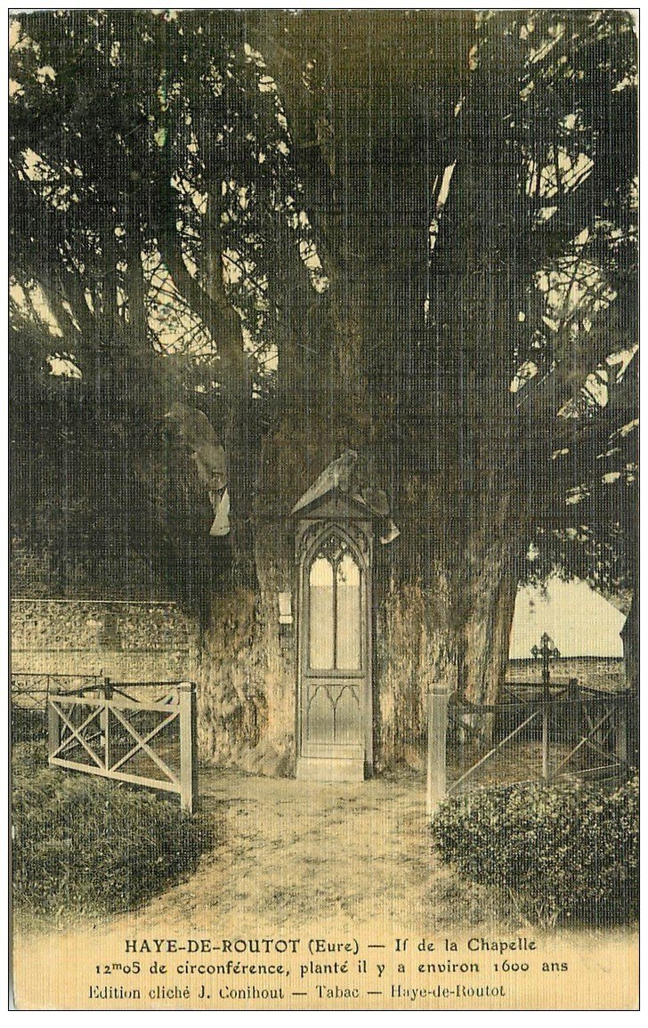 carte postale ancienne 27 HAYE-DE-ROUTROT. If de la Chapelle. Carte toilée