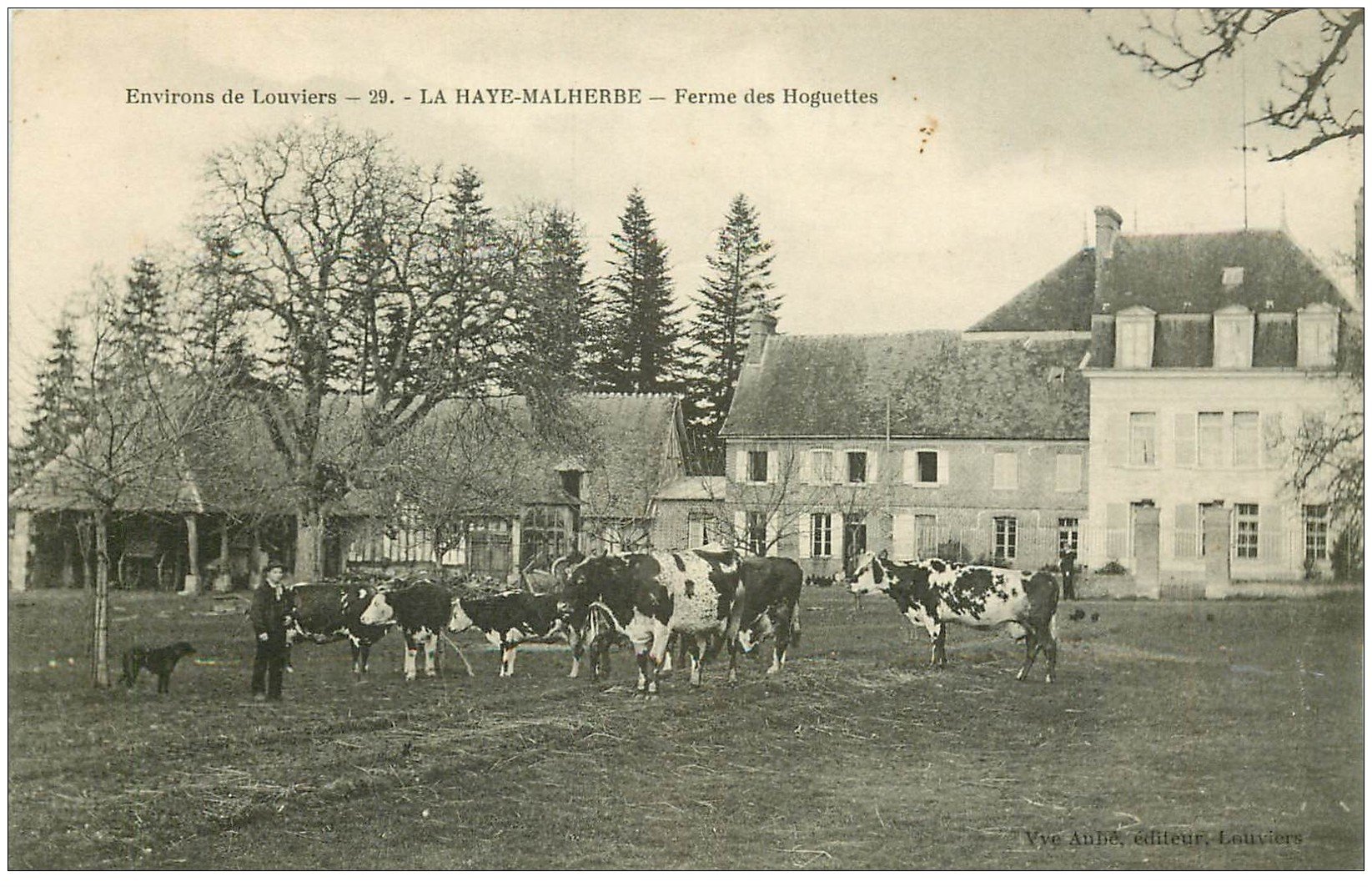 carte postale ancienne 27 LA HAYE-MALHERBE. Ferme des Hoguettes avec Vaches