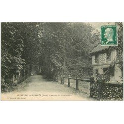 carte postale ancienne 27 LE MESNIL-SUR-L'ESTREE. Avenue des Marronniers 1923