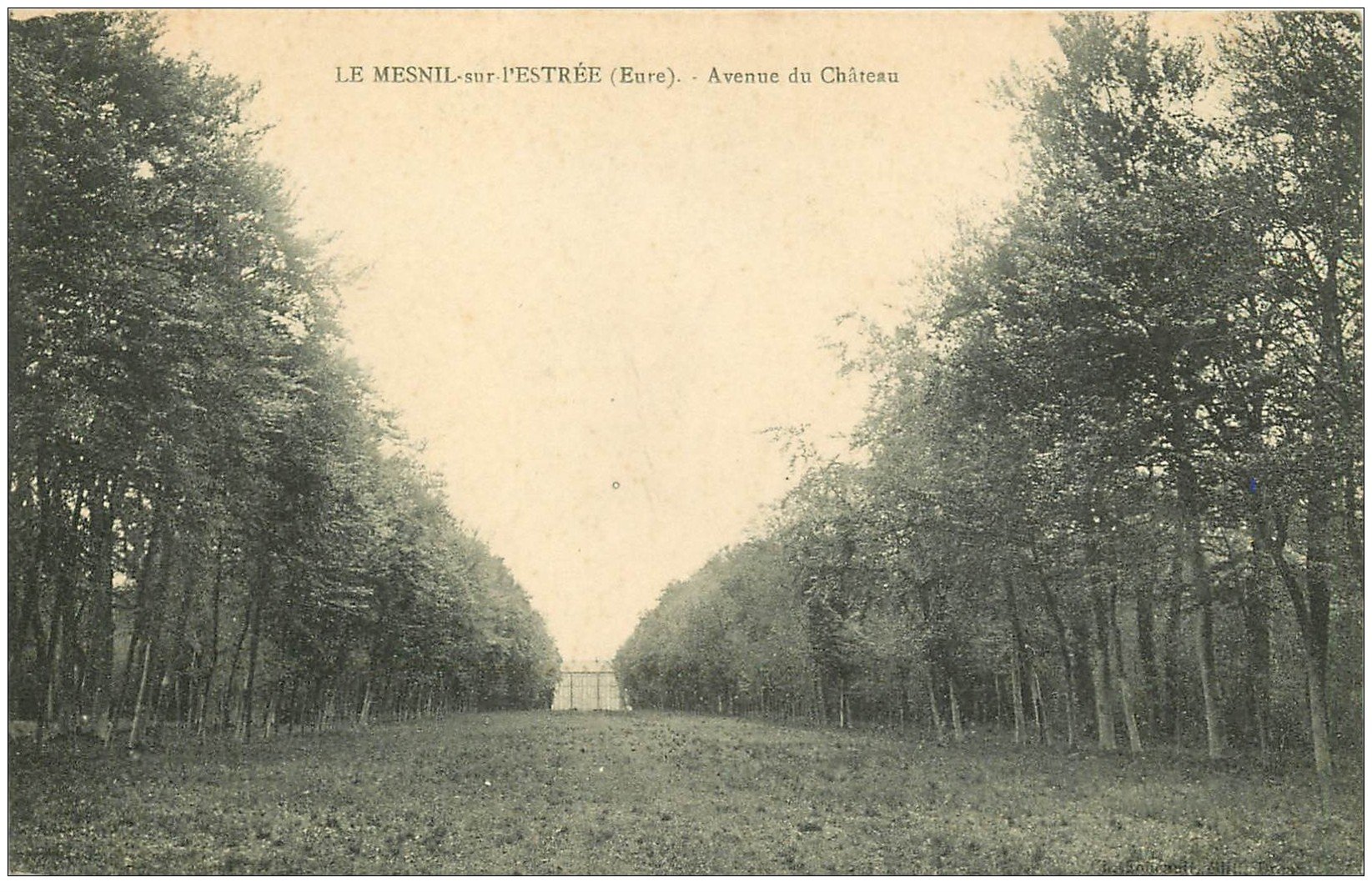 carte postale ancienne 27 LE MESNIL-SUR-L'ESTREE. Avenue du Château 1919