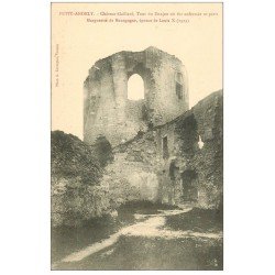 carte postale ancienne 27 LES ANDELYS. Château Gaillard Donjon Prison