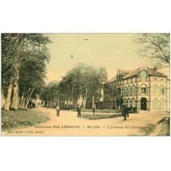 carte postale ancienne 27 MUIDS. Avenue du Château. Carte toilée 1907. Collection Bunel