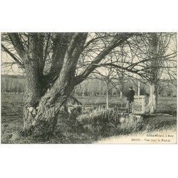 carte postale ancienne 27 MUZY. Vue sur la Prairie avec personnage vers 1925