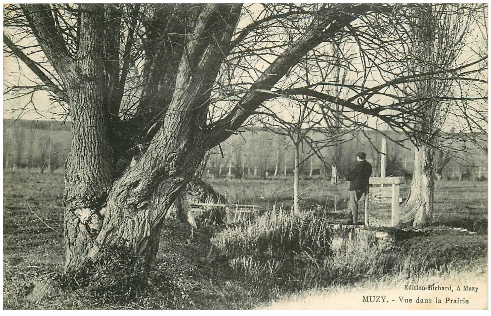 carte postale ancienne 27 MUZY. Vue sur la Prairie avec personnage vers 1925
