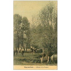 carte postale ancienne 27 PACY-SUR-EURE. L'Eure et Chevaux dans la Prairie. Superbe carte toilée 1906