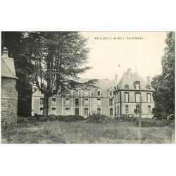 carte postale ancienne 41 BAILLOU. Le Château