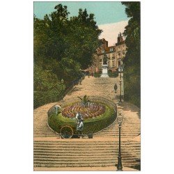 carte postale ancienne 41 BLOIS. Escalier Denis-Pain avec Jardiniers