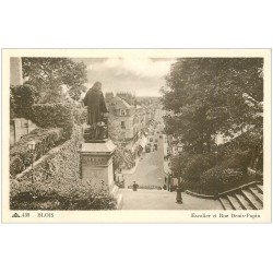 carte postale ancienne 41 BLOIS. Escalier Rue Denis-Papin 438